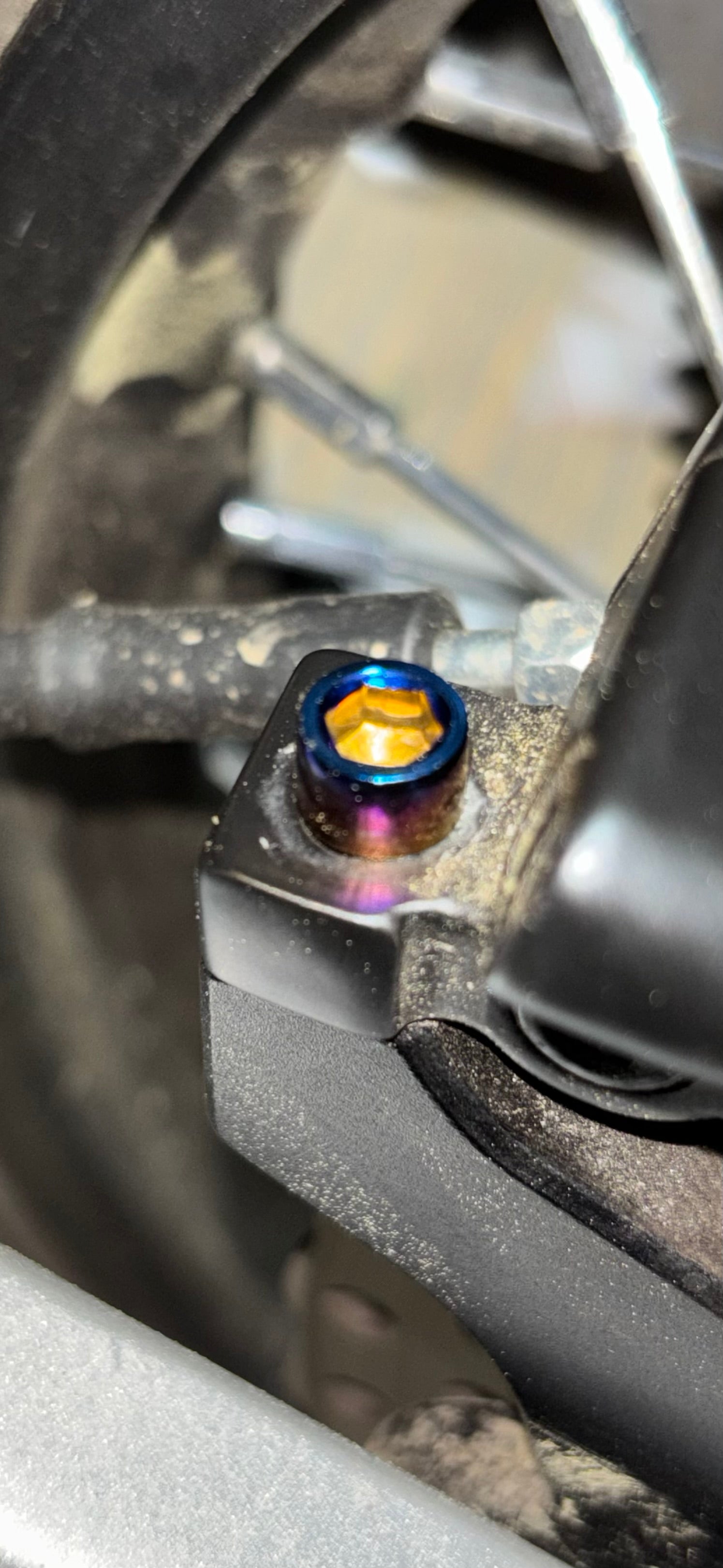 Brake caliper titanium bolts